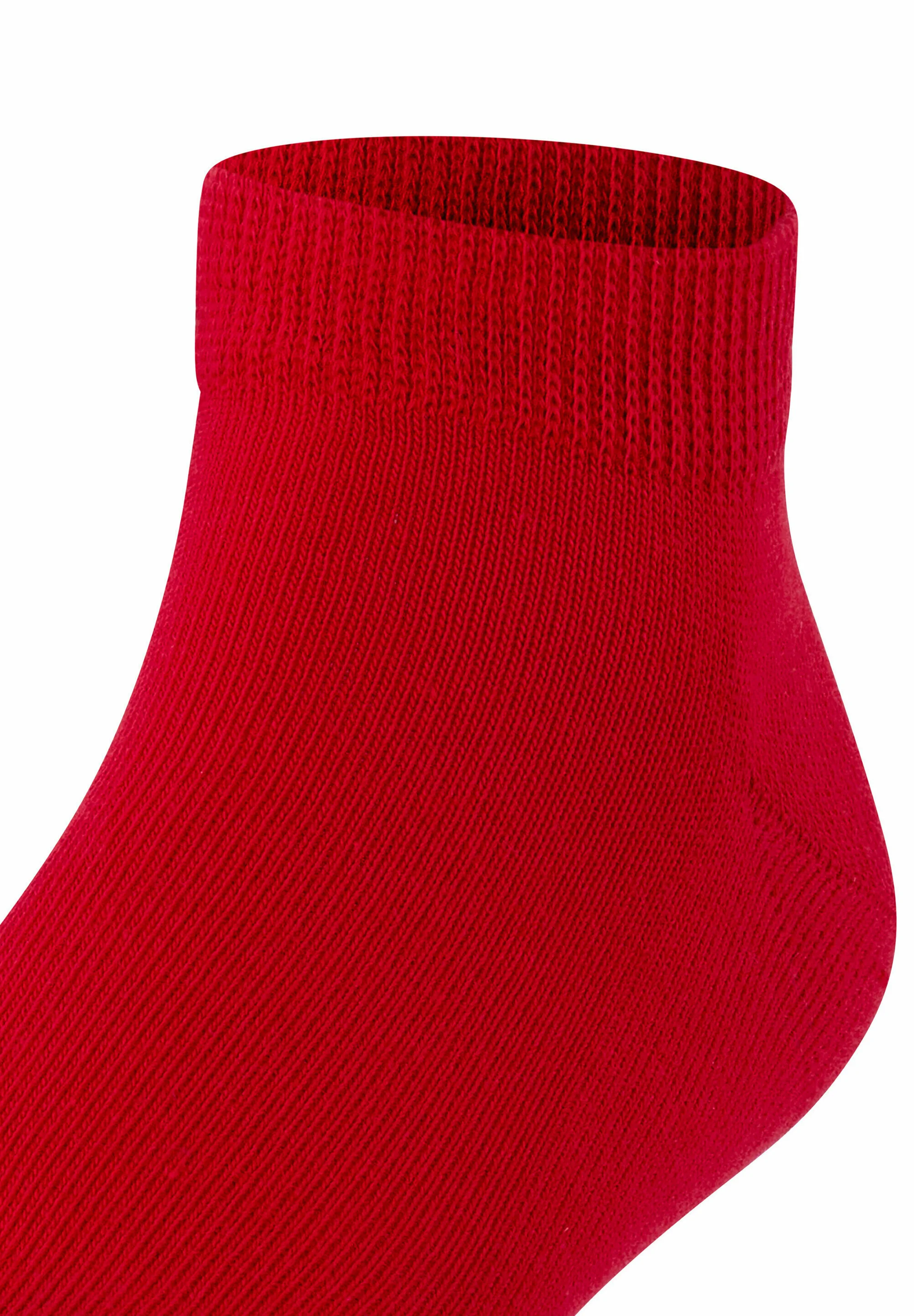 CALCETINES FALKE FAMILY CASUAL PARA TODOS LOS DÍAS - Calcetines