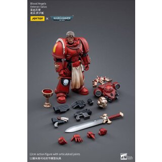 Warhammer 40k Actionfigur: Blood Angels Veteran Salus