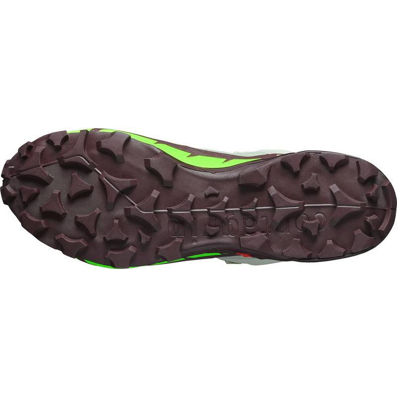 Salomon CROSS HIKE 2 Wanderschuhe Herren