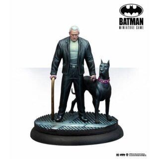 Batman Miniatuer Game: Batman Beyond (3)