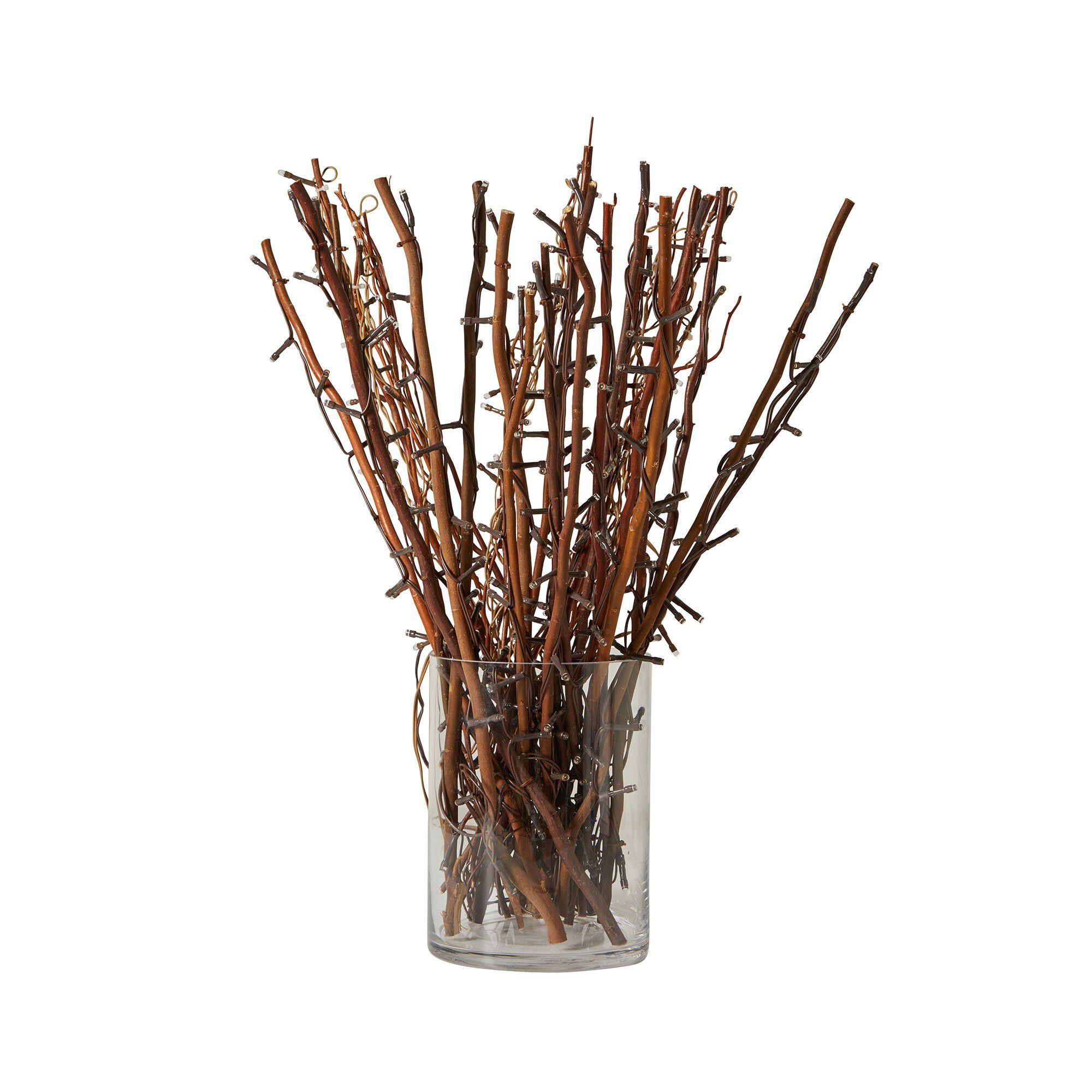Branche lumineuse