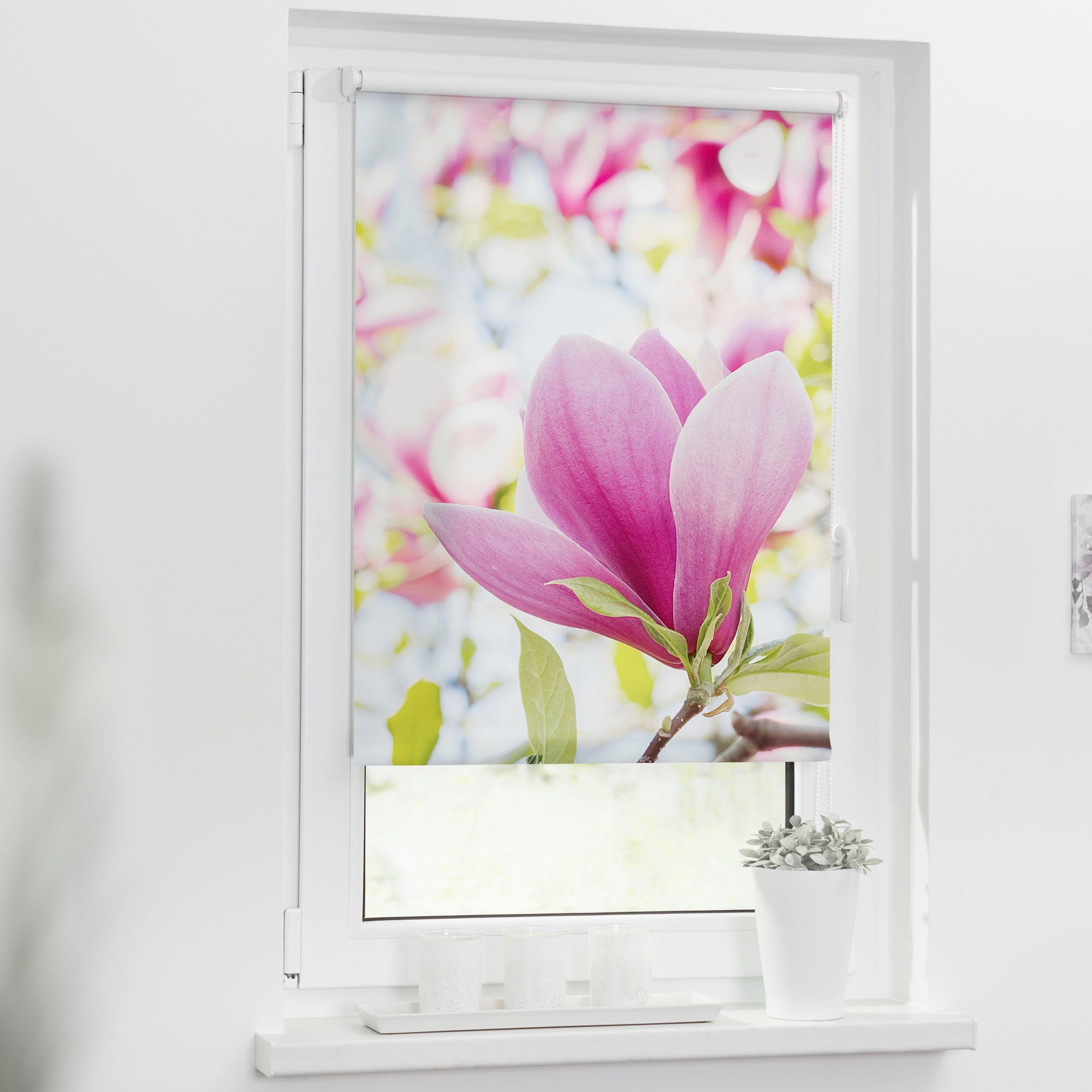 Seitenzugrollo Klemmfix Motiv Magnolie, LICHTBLICK ORIGINAL, Lichtschutz, ohne Bohren, freihängend, Klemmfix, bedruckt