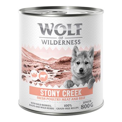 Wolf of Wilderness Junior 6 x 800 g - Mit viel frischem Geflügel