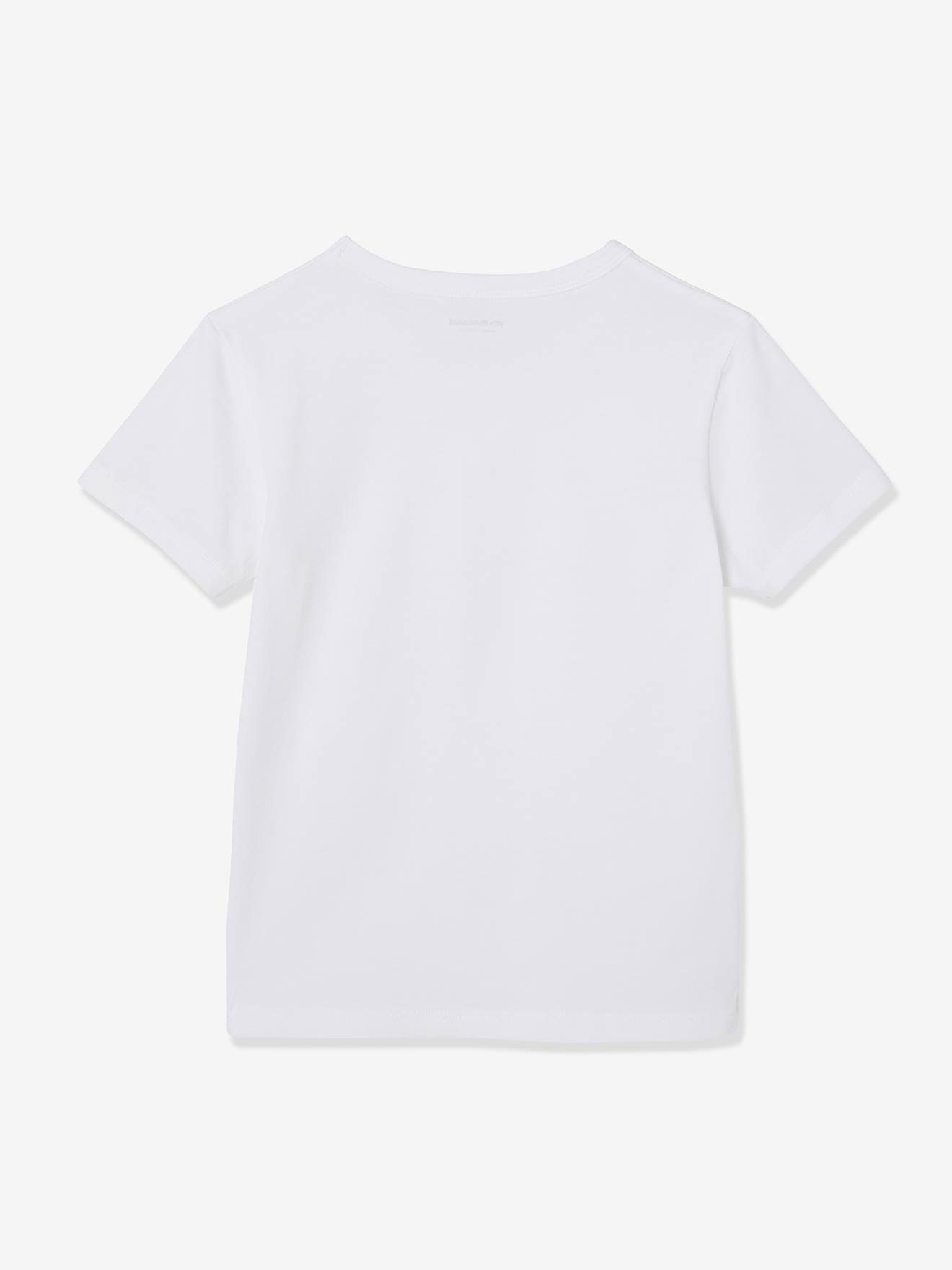 Lot de 3 T-shirts garçon manches courtes BASICS lot camaieu bleu