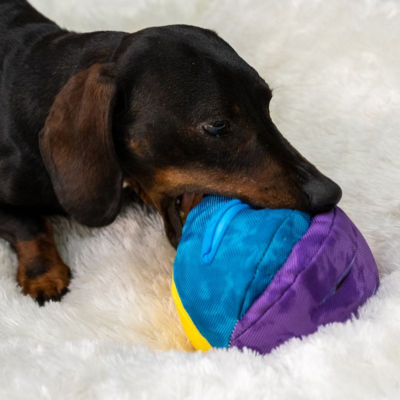 TIAKI Snackball Regenbogen zu TOP-Preisen