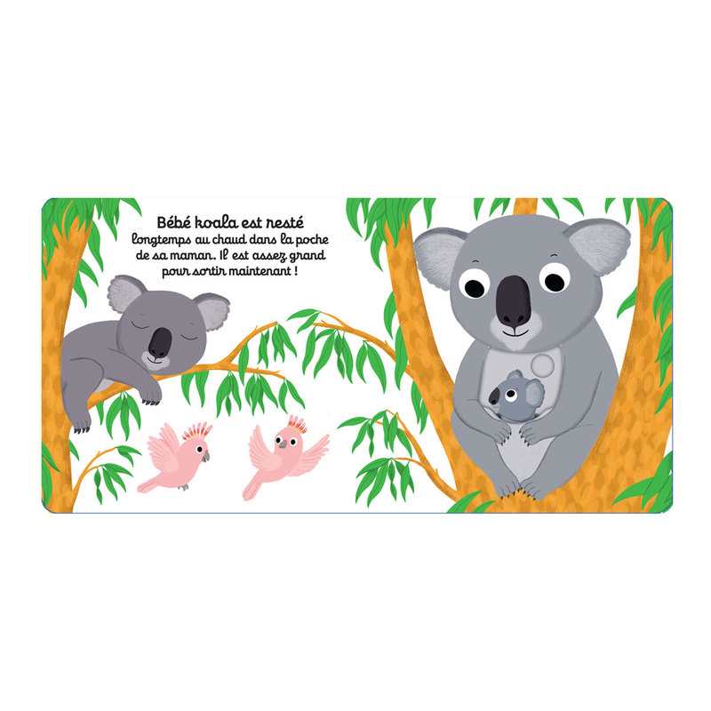 Livre Kididoc Bonne nuit bébé koala ! - Nathan Jeunesse