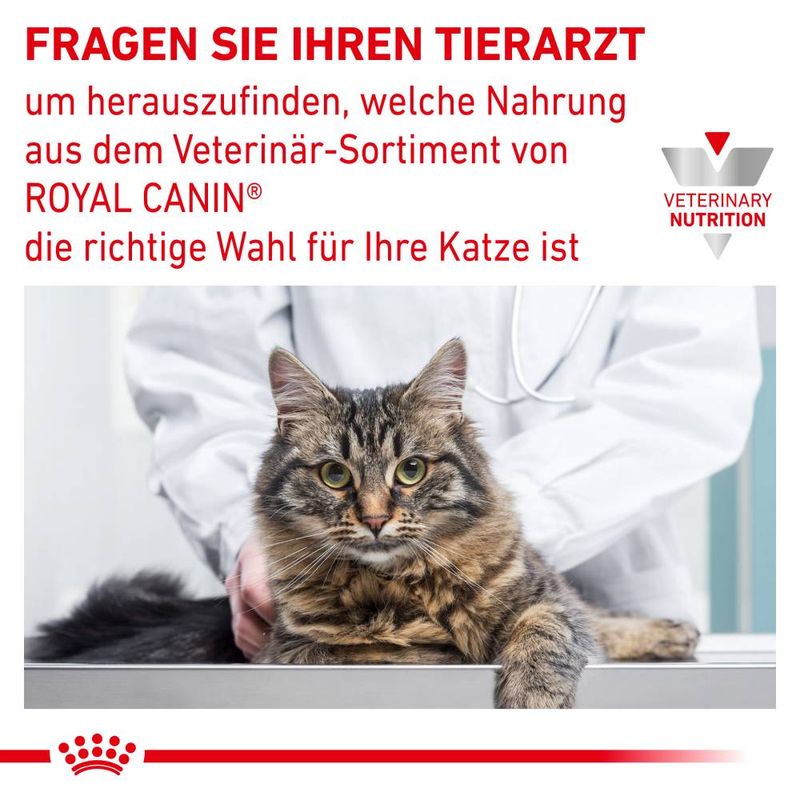 Royal Canin Veterinary Feline Urinary S/O Moderate Calorie | bitiba