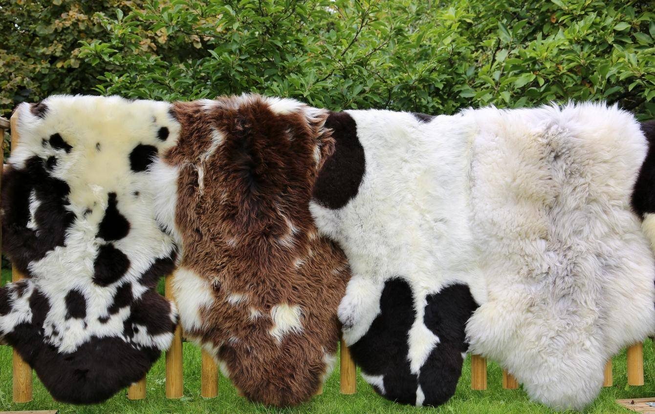 Fellteppich Englisch gescheckt Schaffell Läufer Teppich, Hollert, Tierform
