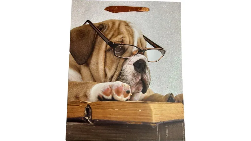 BOCK Geschenktüte gross Hunde 32 x 26 x 12cm sortiert