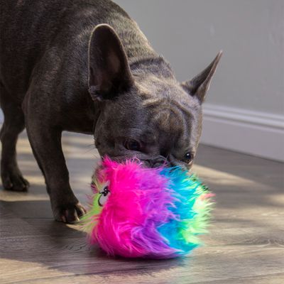 goDog® Furballz Regenbogen