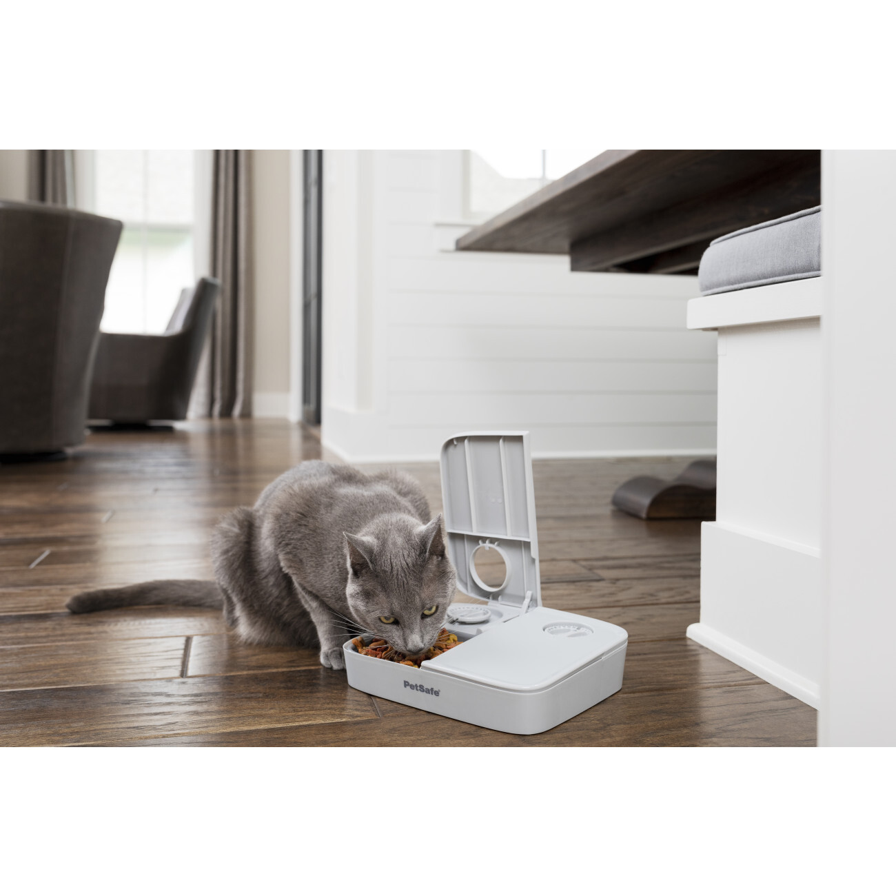 PetSafe Futterautomaten PetSafe Futterautomat für 2 Mahlzeiten