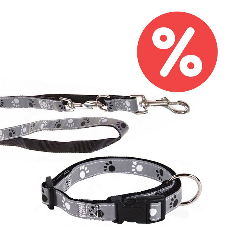 Sparset Trixie Hundeleine + Halsband Pfoten Silver Reflect | bitiba