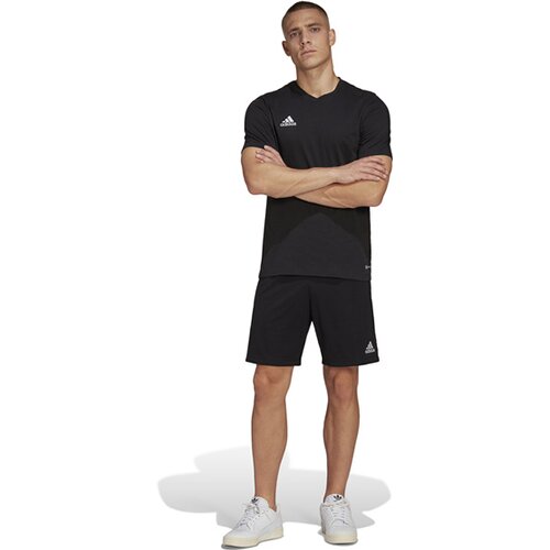 HERREN FANSHIRT ENTRADA 22 (NORMAL & LANG)