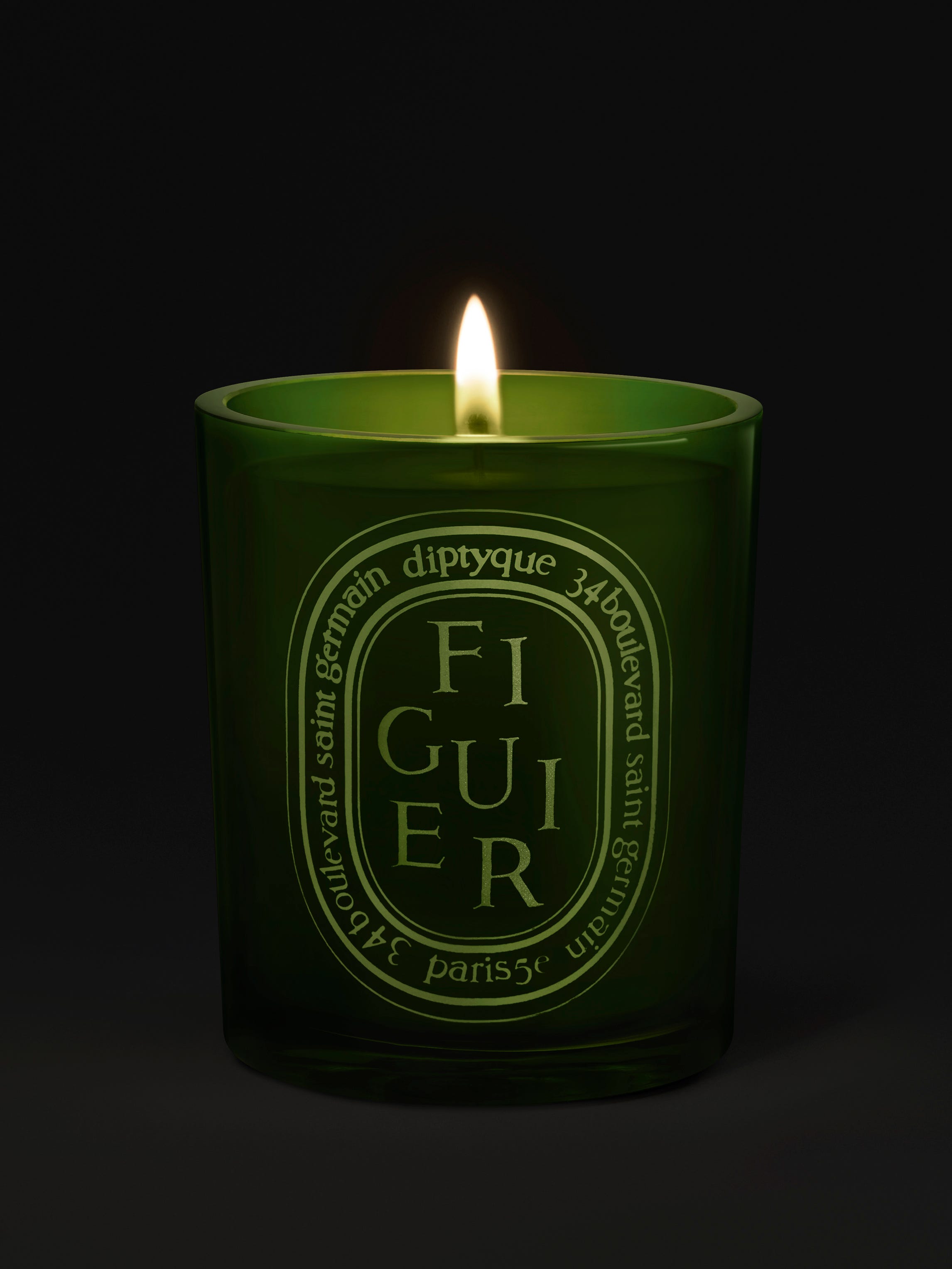 Figuier - Bougie moyen modèle
