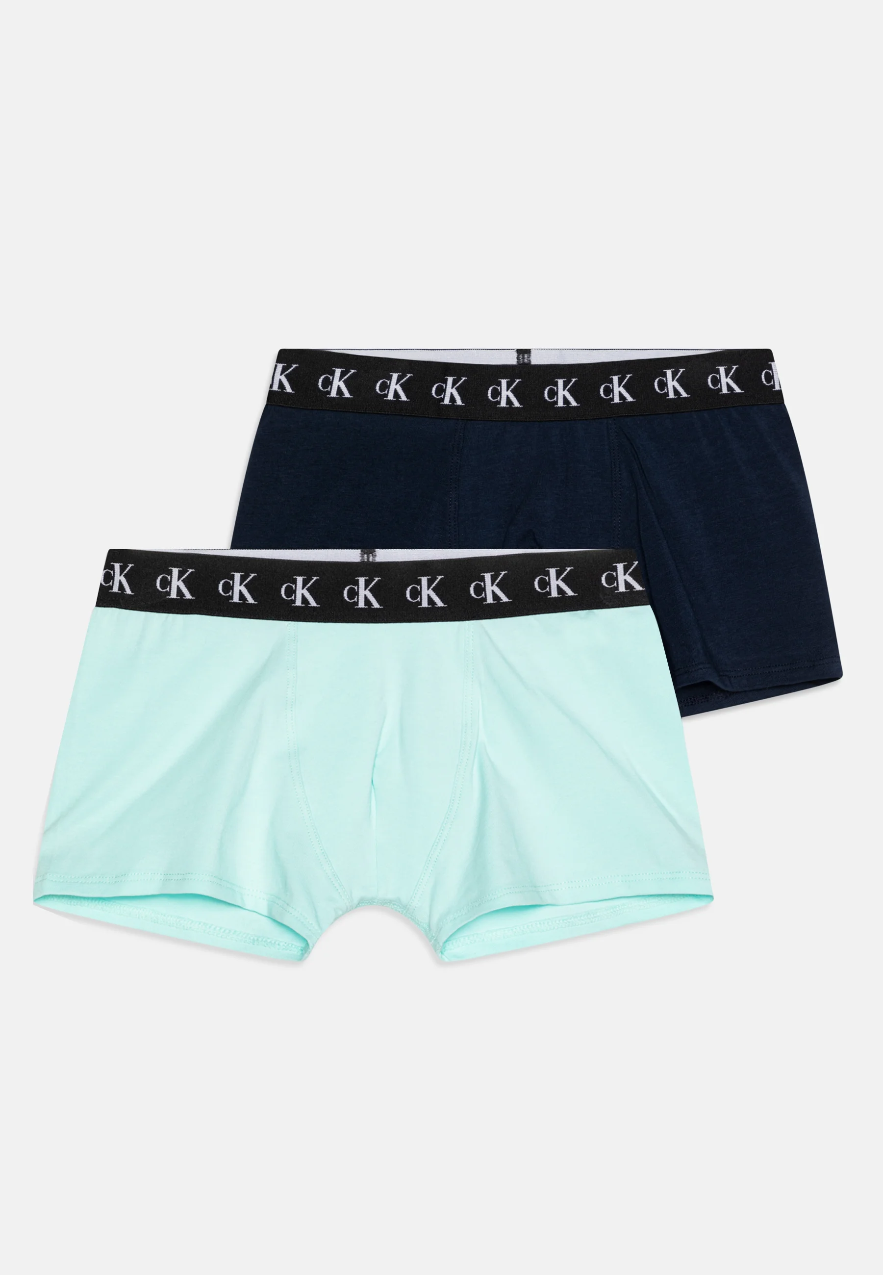 Calvin Klein Underwear TRUNK PACK DE 2 - Culotte