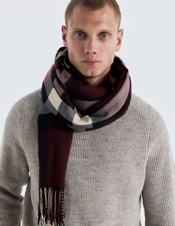 Echarpe burgundy à motif carreaux Homme