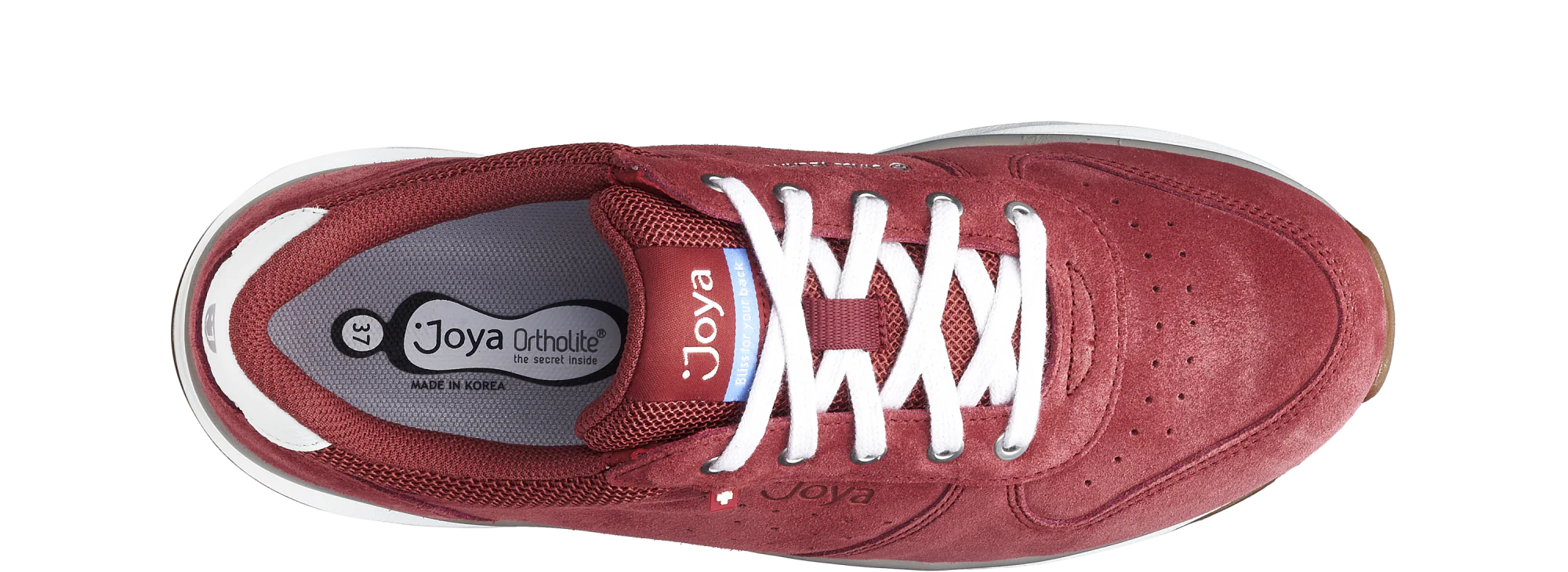 Dynamo Classic Dark Red