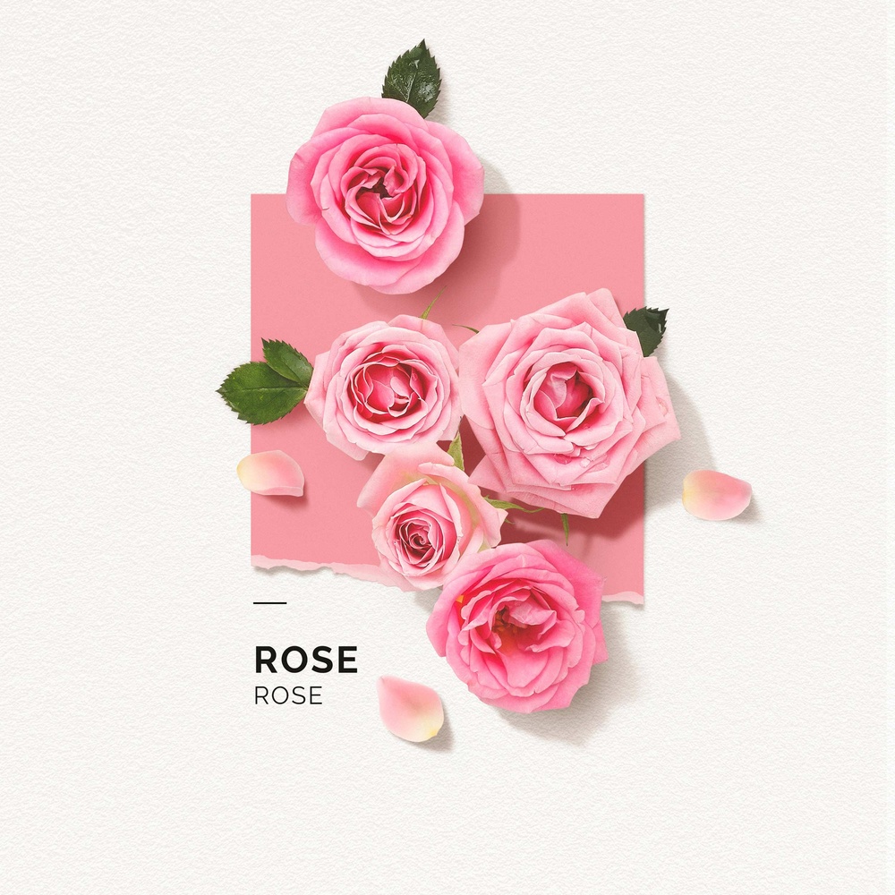 Solinotes Rose Eau de Parfum