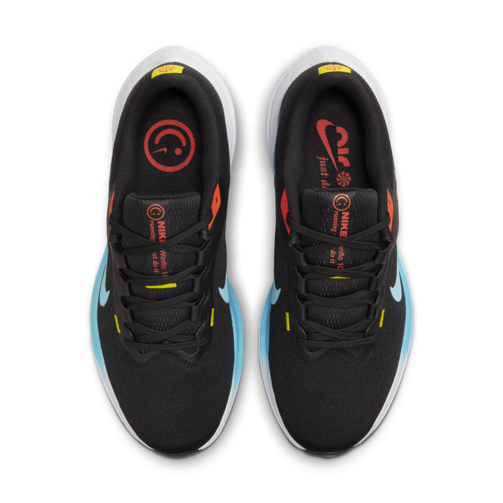 Nike Winflo 10 DV4023-002 / schwarz