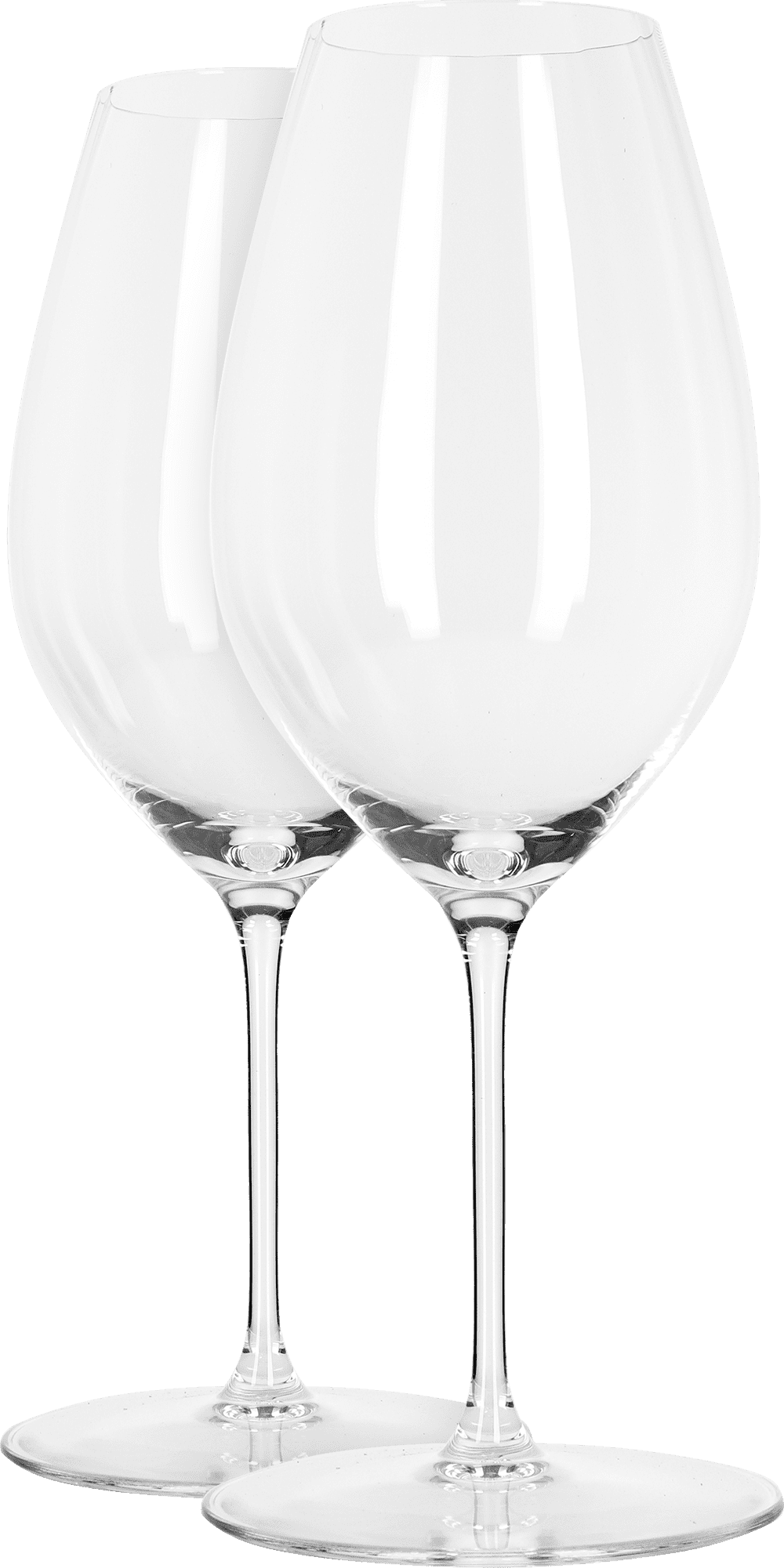 Riedel Glas Performance - Riesling im 2er Geschenkset