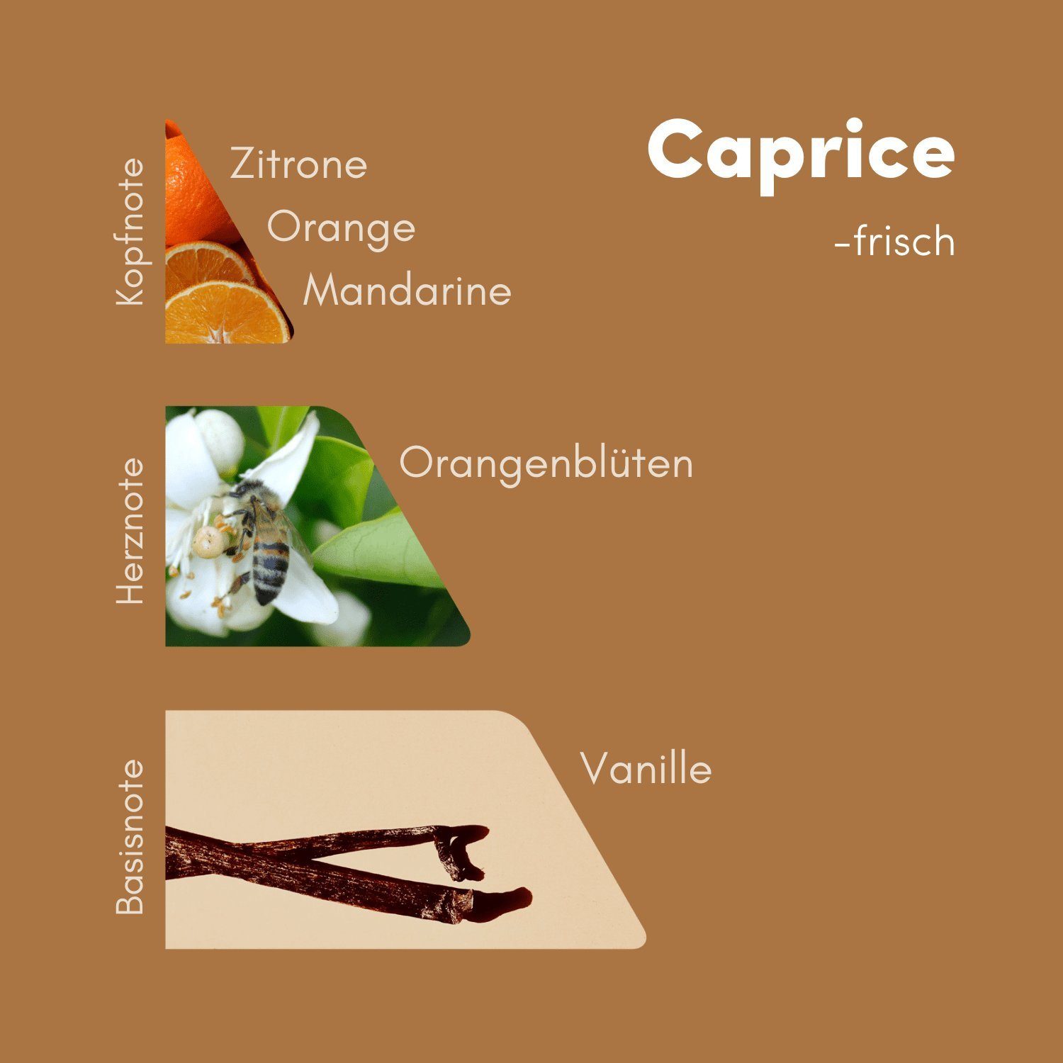 MONODOR Raumduft Caprice 200 ml (1-St)