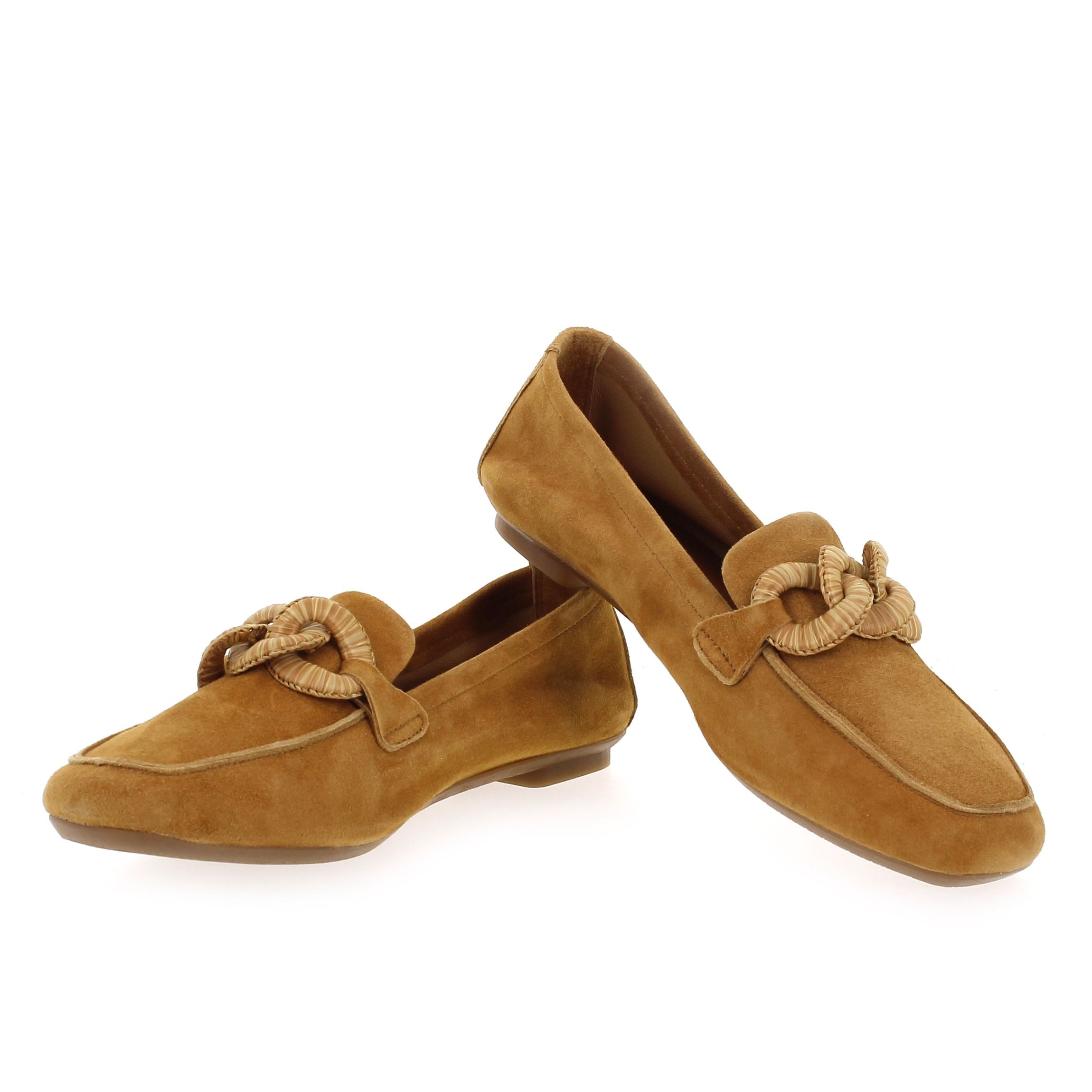 Reqins  HAMAYA - Camel