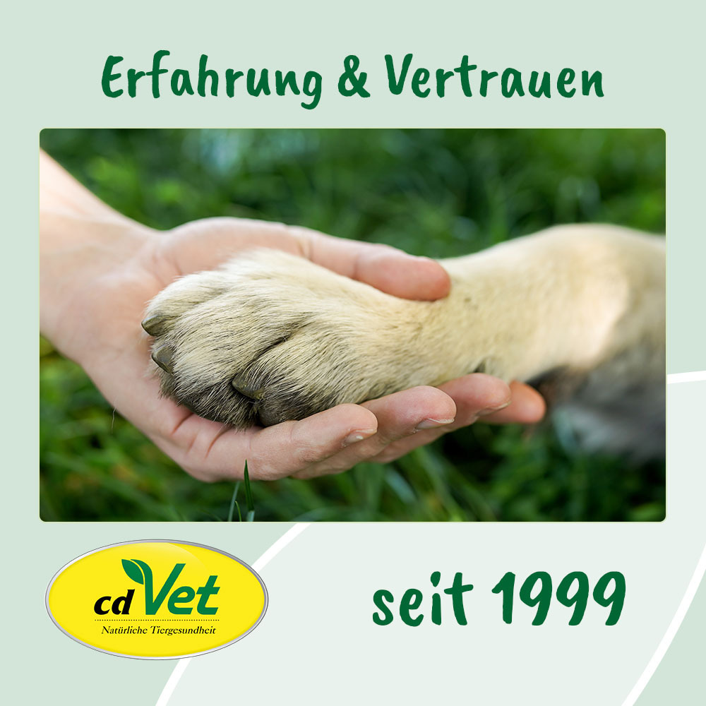 cdVet Ergänzungsfutter & Aufzucht cdVet EnergyUp 450g