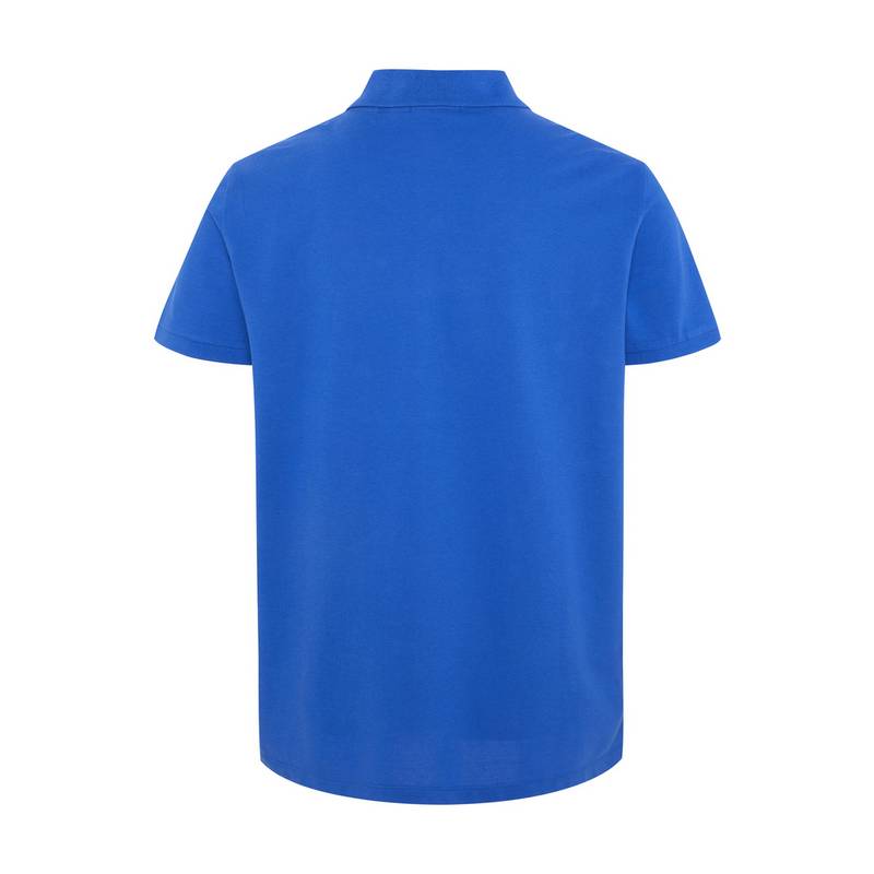 Chiemsee Poloshirt Poloshirt Herren