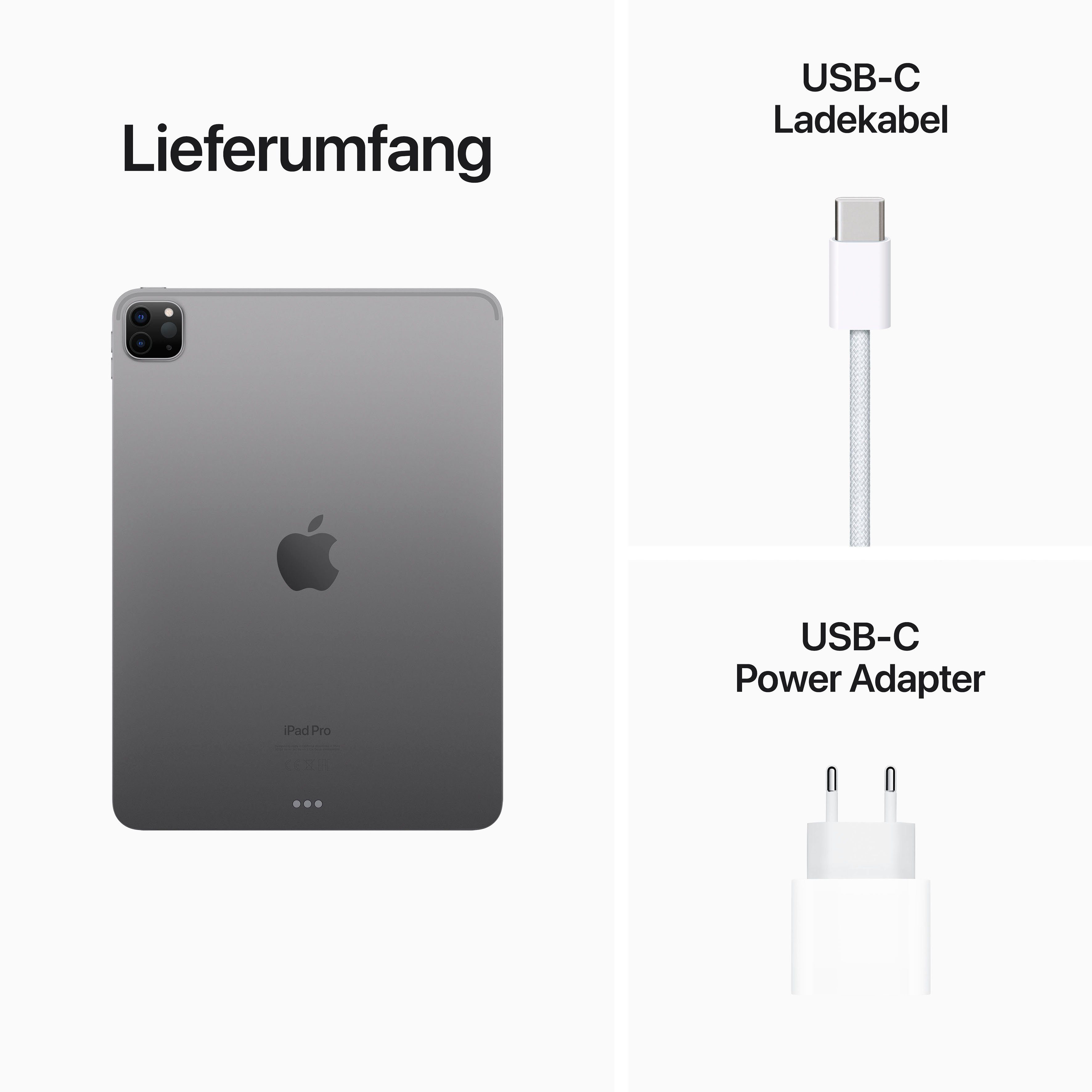 Apple 11