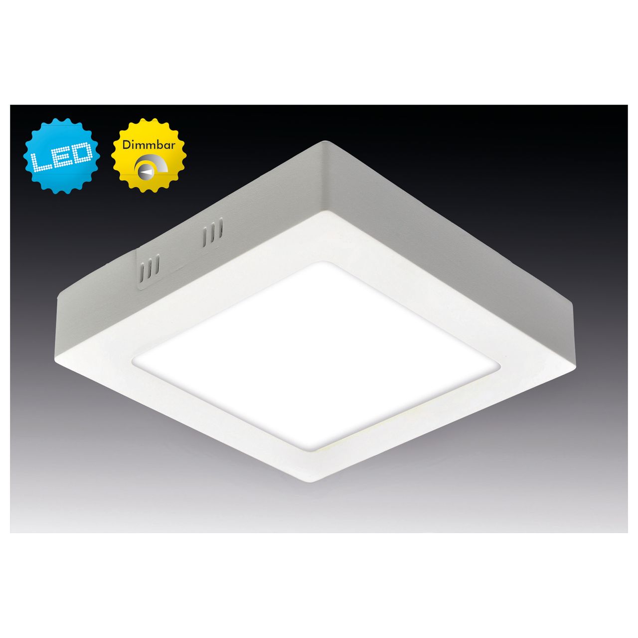 Näve Leuchten LED Aufbaupanel dimmbar 