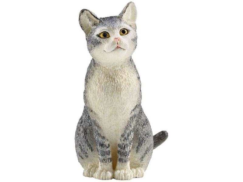 Chat assis