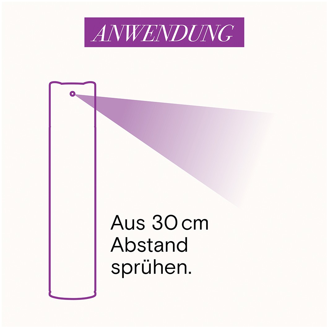 Classic Halt & Schutz Halt 3