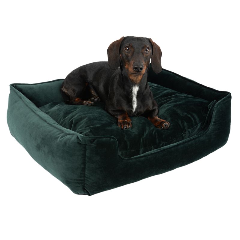 Modern Living Hundebett Fern zu TOP-Preisen