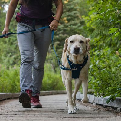 Ruffwear Front Range Hundegeschirr, Blue Moon