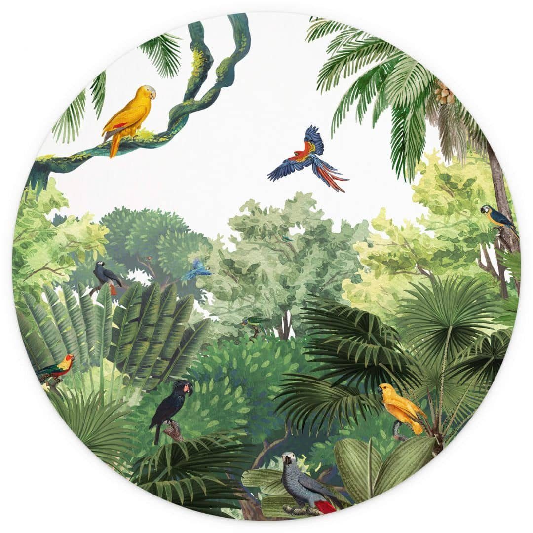 K&L Wall Art Fototapete Fototapete Baby Kinderzimmer Tropische Vögel Dschungel Vliestapete rund, große Kinder Motivtapete
