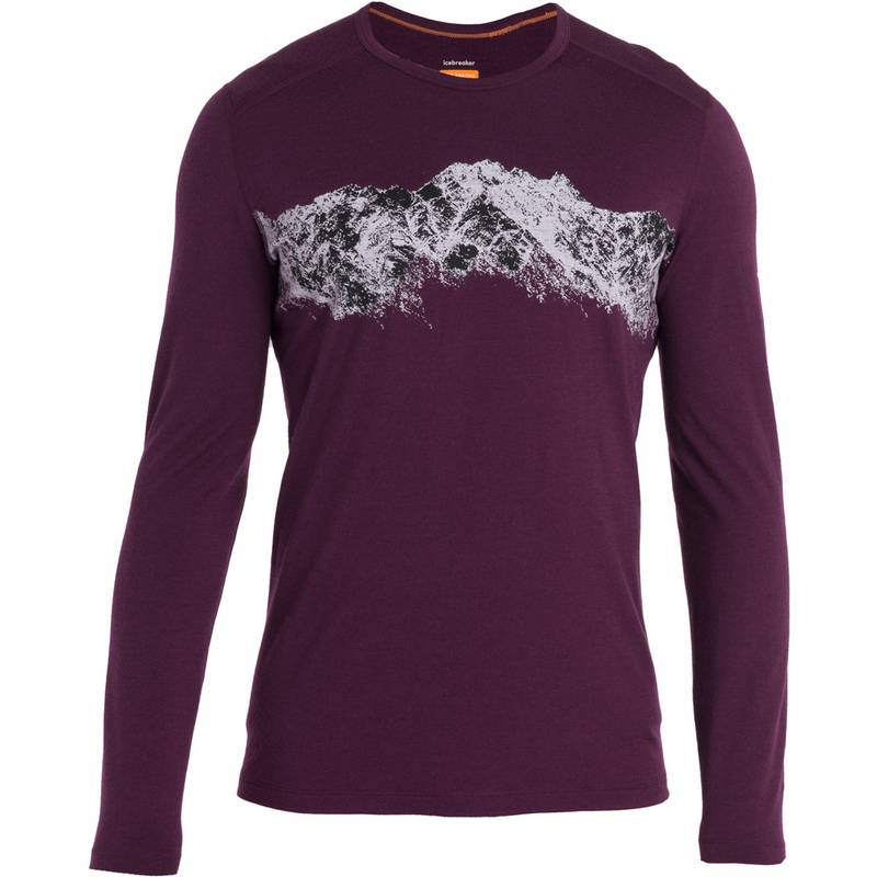 Icebreaker 200 Oasis Funktionsshirt Herren