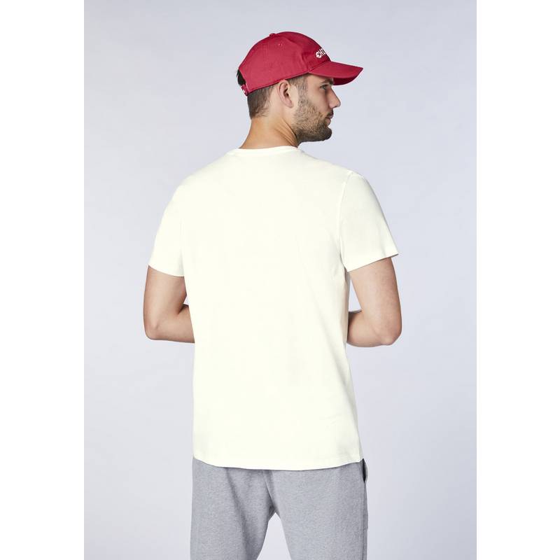 Chiemsee T-Shirt T-Shirt Herren