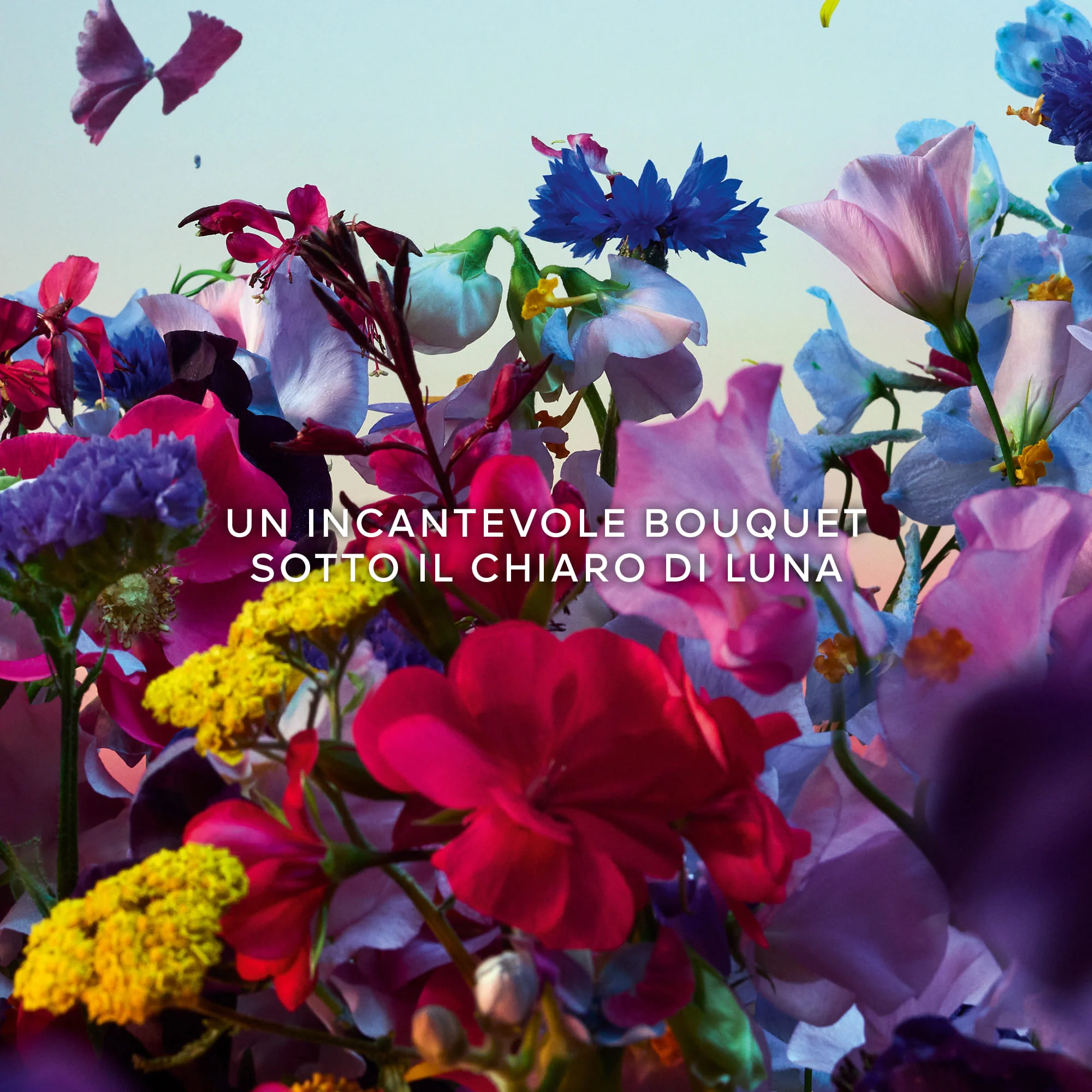 Absolus Allegoria Florabloom - Parfümvíz
