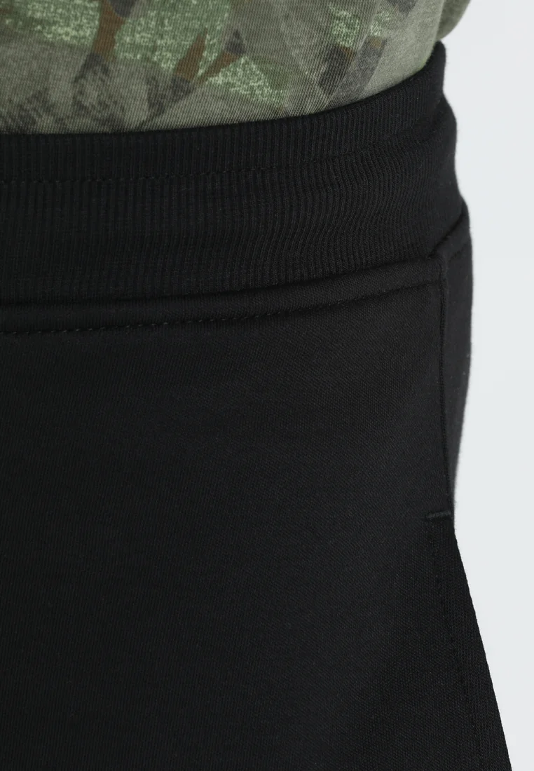 The North Face GRAPHIC SHORT - Pantalones cortos deportivos