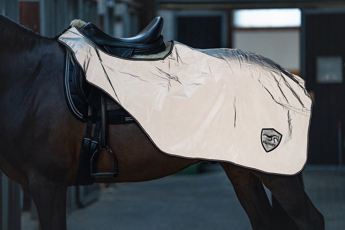 Equinate Pferde-Nierendecke reflektierende Ausreitdecke Xtreme-Visible wasserdicht und Innenfutter, atmungsaktiv