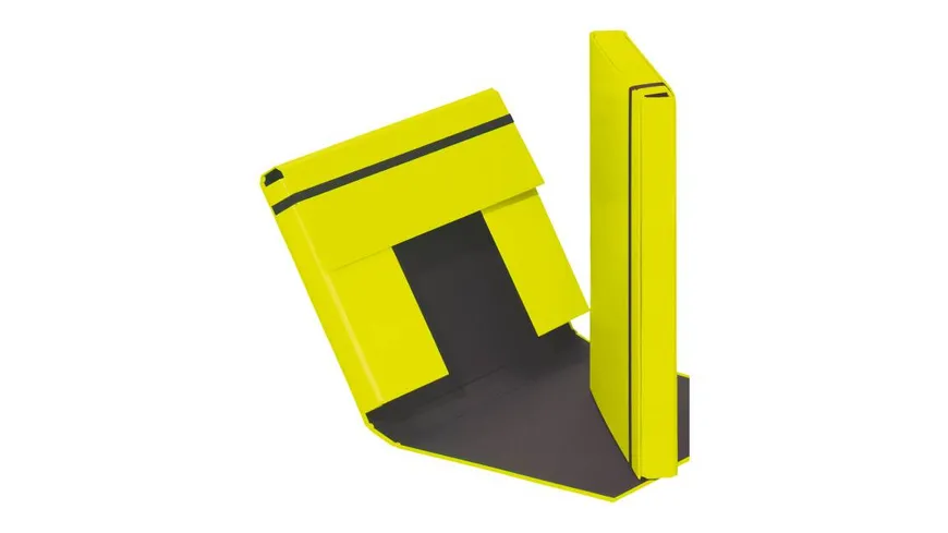 PAGNA Heftbox Trend A4 lindgrün lindgrün
