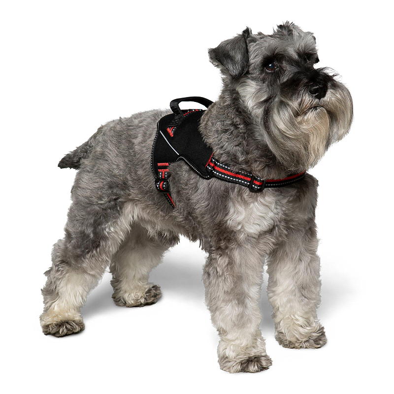 Zoozaker Hundesele 35 cm, m/håndtak