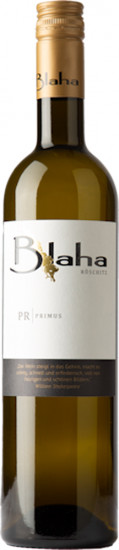 2023 Primus 