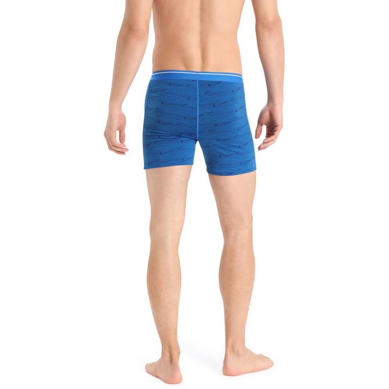 Icebreaker Anatomica Unterhose Herren