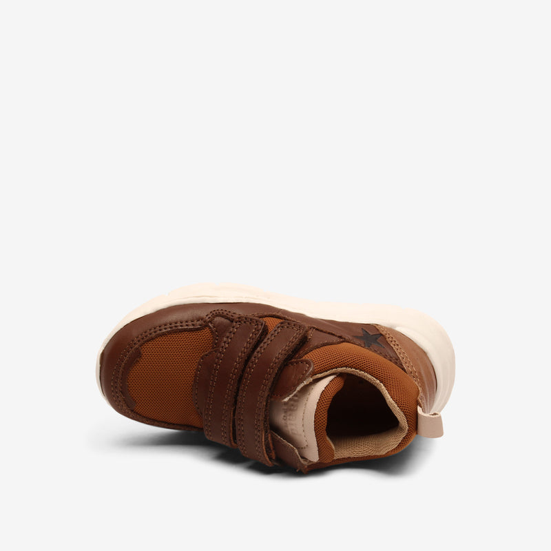 pan v chocolate - Braun