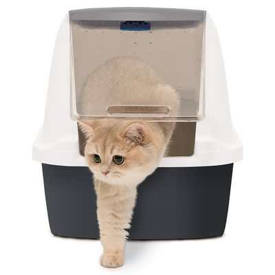 Catit Magic Blue