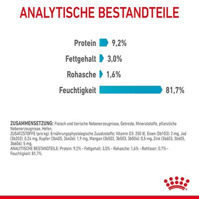Royal Canin Urinary Care in Soße