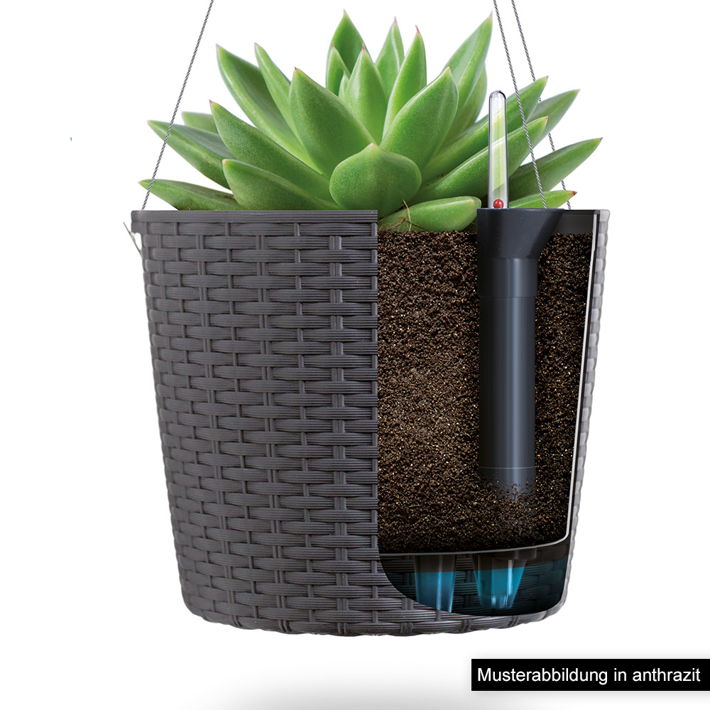 Powertec Garden 2 in 1 Hängetopf in Rattanoptik, Braun