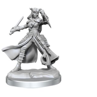 D&D Frameworks: Tiefling Rogue Female
