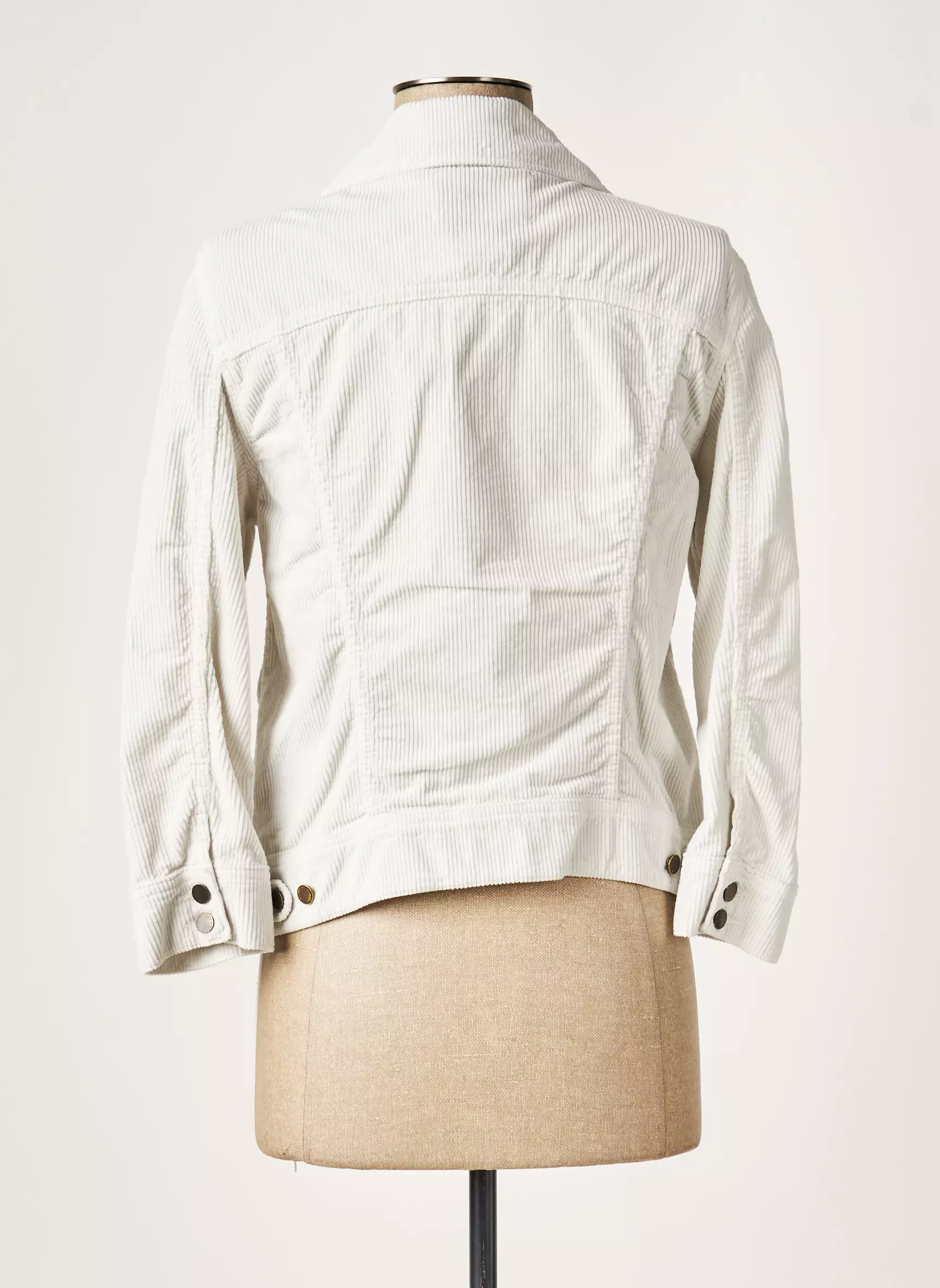 Acquaverde Vestecasual Femme couleur gris